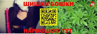 крисы Краснодар