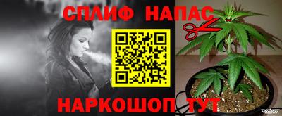 крисы Краснодар