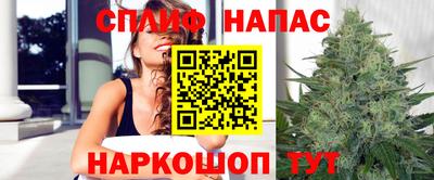 спиды Краснознаменск