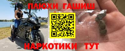 крисы Краснодар