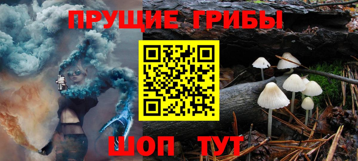 Псилоцибиновые грибы MAGIC MUSHROOMS Кимры